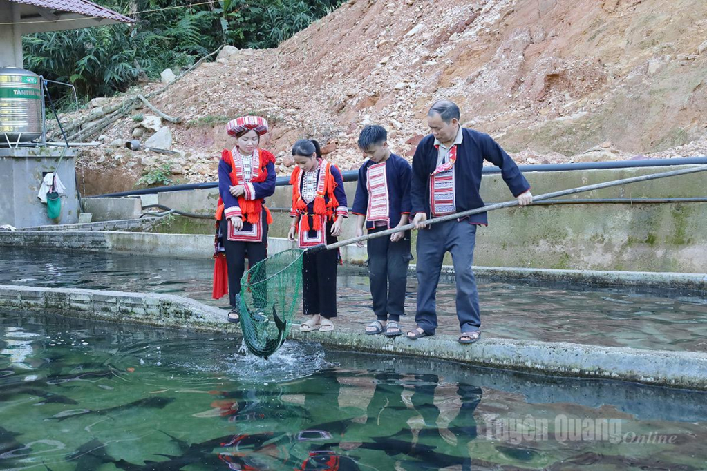 Mr. Trieu Chan Loang was the pioneer who first brought sturgeon to Nam An, working alongside fellow villagers to build what is now known as the “sturgeon capital” of the highlands.