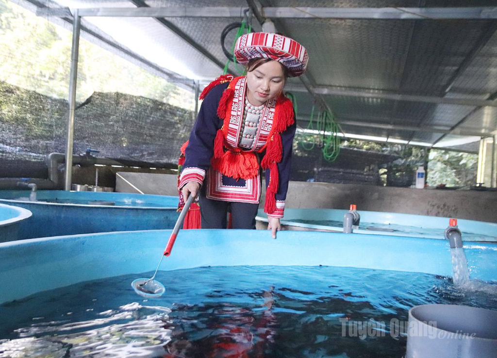 His household is also the only one in Nam An to successfully breed sturgeon fingerlings, supplying local farmers at half the market price.