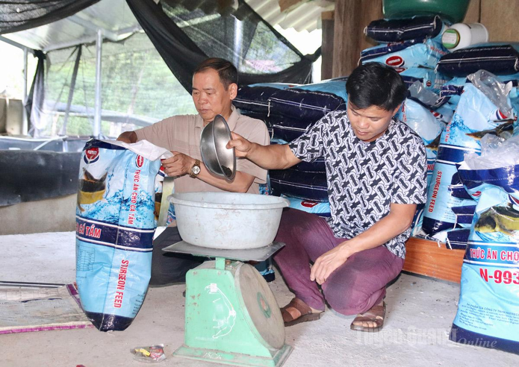 Farmers carefully balance daily feed quantities to ensure consistent growth and meet commercial standards.