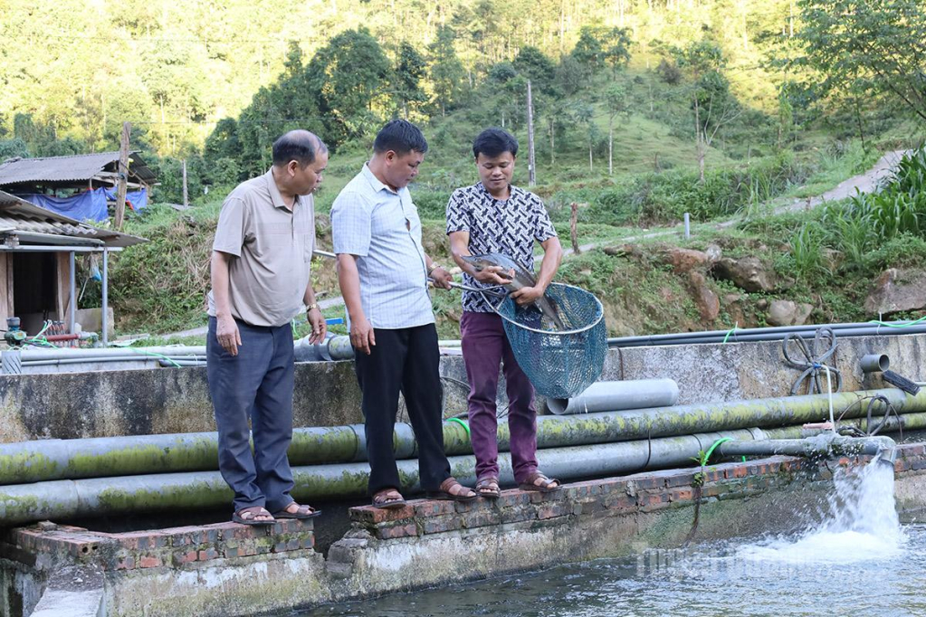 Mr. Loang also founded the Nam An Sturgeon Cooperative, which brings together 26 members to improve product quality and expand market access.