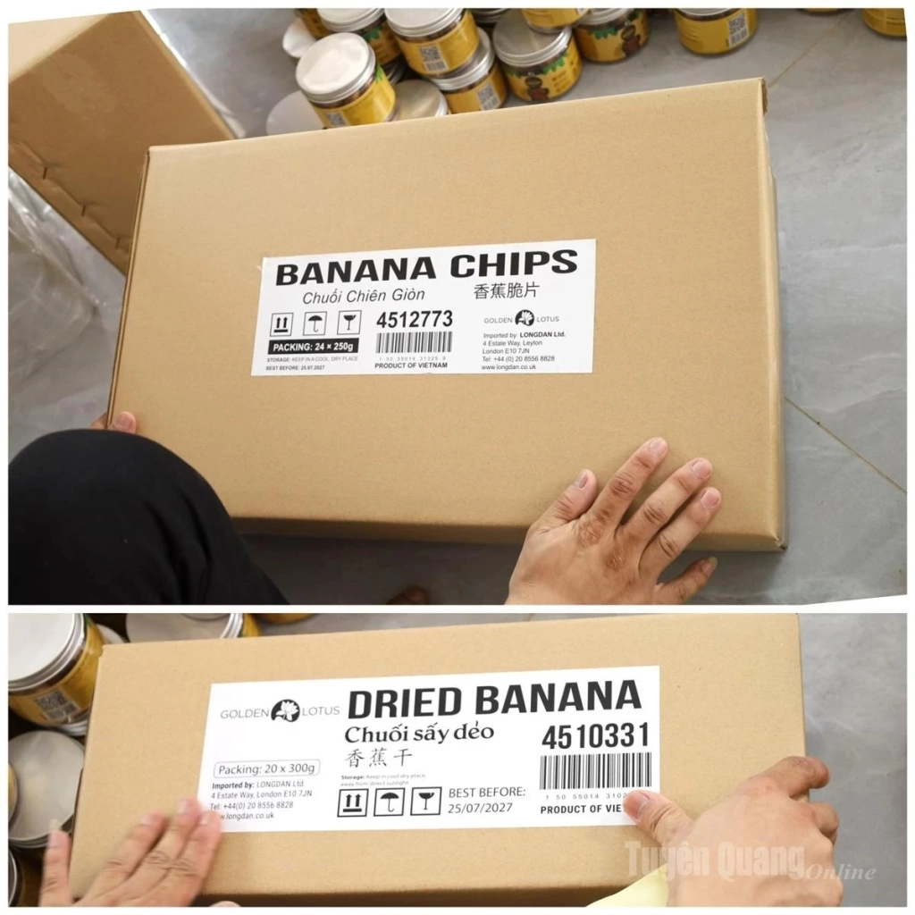 Banana chips and fried bananas are put in the carton boxes, labelled with traceability stamps before being exported.