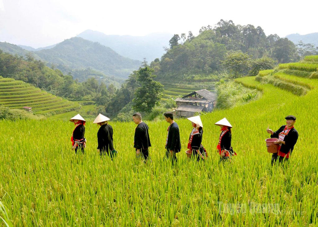 Laughter echoes across the fields as Dao villagers catch fish together, celebrating the season of abundance.