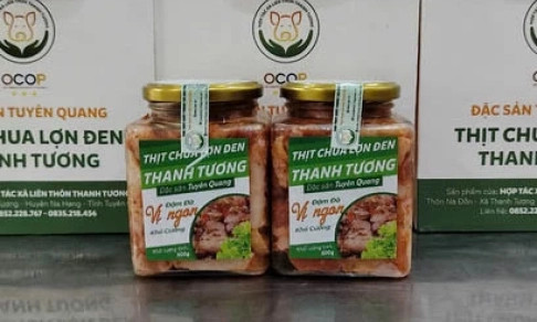 Thanh Tuong fermented meat