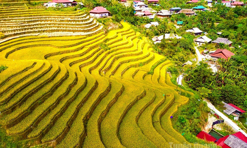 Bản l&agrave;ng thanh b&igrave;nh, no ấm b&ecirc;n sườn T&acirc;y C&ocirc;n Lĩnh, Tuy&ecirc;n Quang.