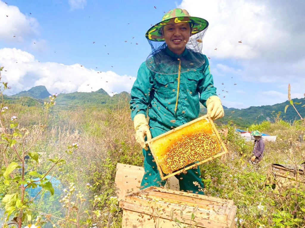 Nuôi ong mật mang lại hiệu quả kinh tế cao và bền vững cho nhiều hộ nuôi ong trên Cao nguyên đá Đồng Văn.