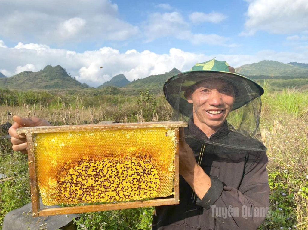 Niềm vui của người dân về một mùa mật bạc hà với sản lượng và chất lượng tốt.