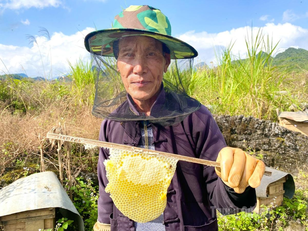 Nhìn lớp mật bạc hà hấp dẫn khiến ta không thể không nếm thử.