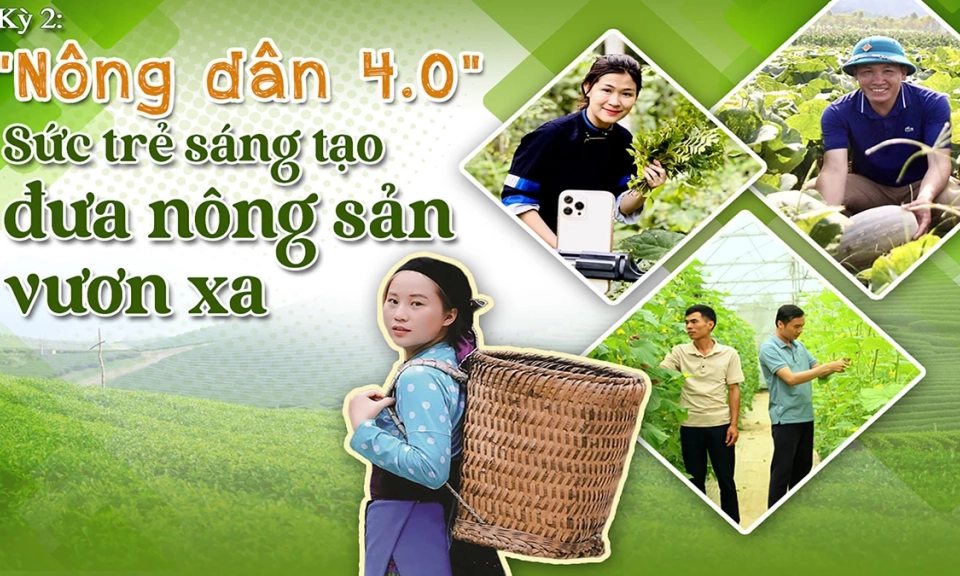 Kỳ 2: "N&ocirc;ng d&acirc;n 4.0" Sức trẻ s&aacute;ng tạo đưa n&ocirc;ng sản vươn xa