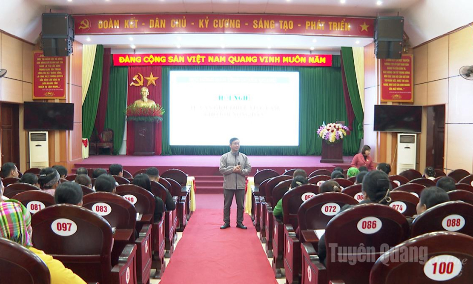 Tư vấn, giới thiệu việc l&agrave;m cho 250 hội vi&ecirc;n n&ocirc;ng d&acirc;n