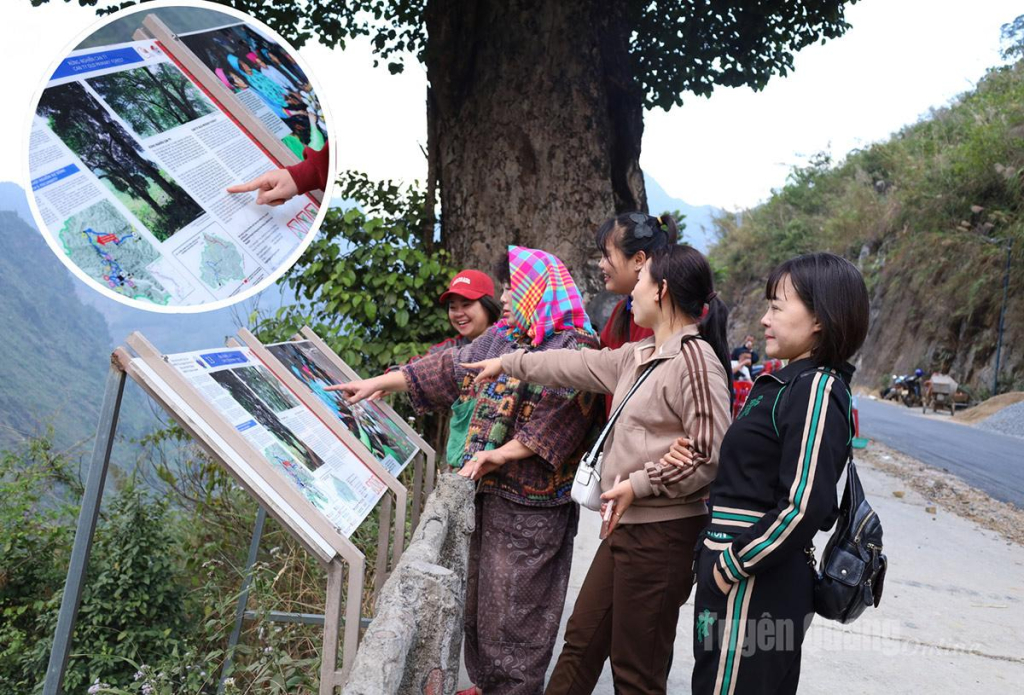 Visitors show keen interest in learning about and reading information on the “lonely tree” and the ancient nghien forest at the rest stop.