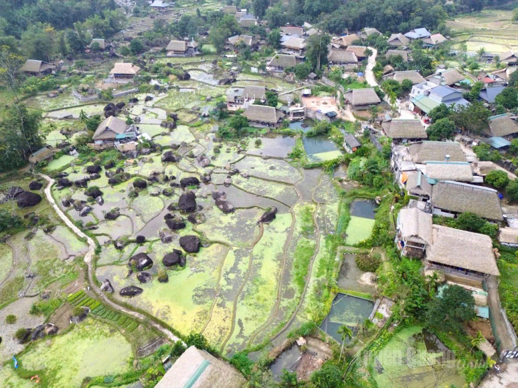 Giữa đông lạnh giá, nhưng Hạ Thành vẫn hiện lên đầy vẻ cuốn hút.