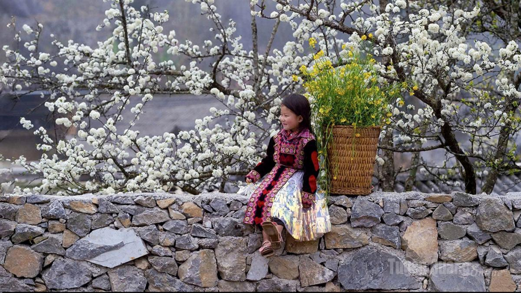 Spring colors brighten the nation’s northernmost region as peach and plum blossoms come into full bloom.
