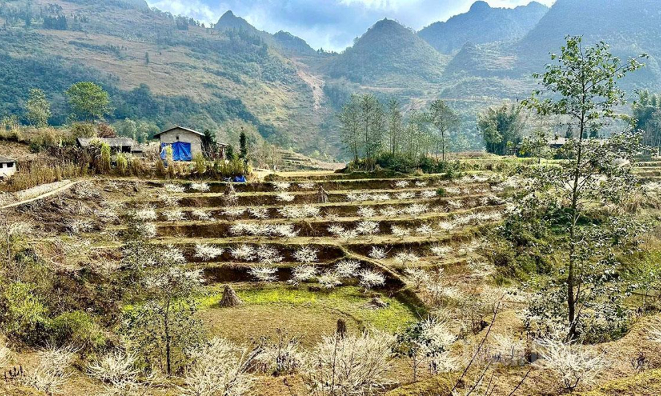 Spring arrives at the borderland of Pho Bang