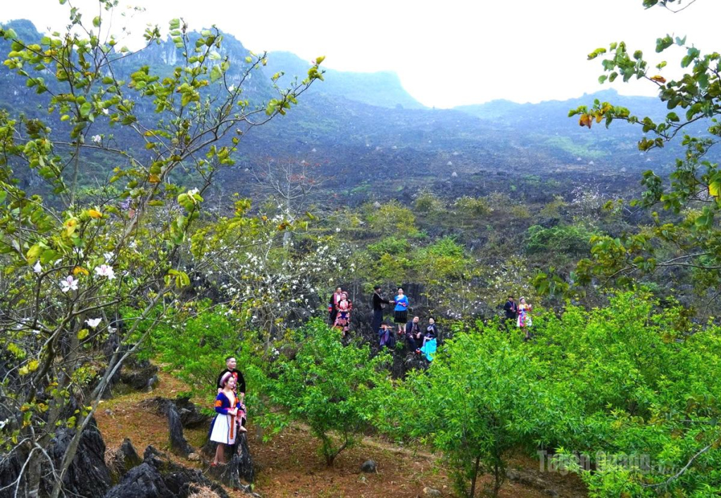 The blooming ban flowers in Khau Vai create a highlight that attracts visitors during the March festival season.