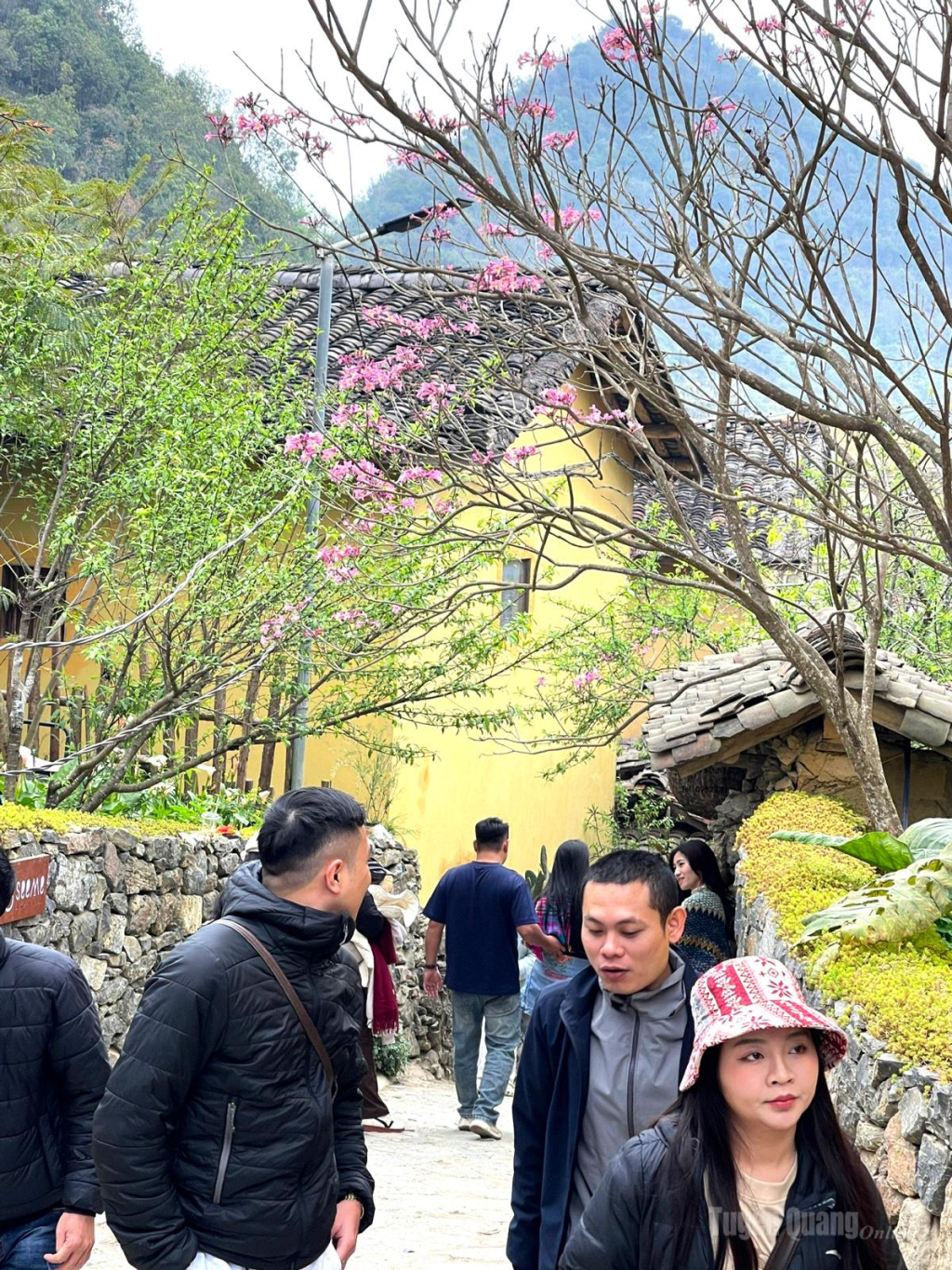 A stream of visitors strolls through a narrow alley.