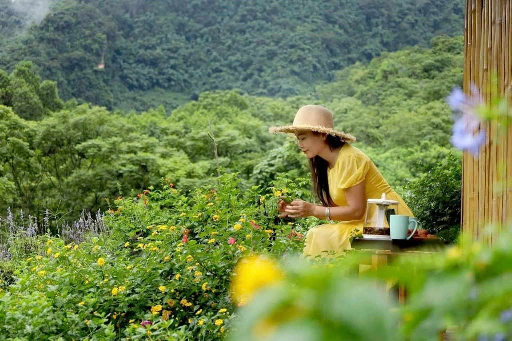 For those seeking to escape the hustle and bustle of urban life to enjoy the fresh, peaceful atmosphere of the countryside and to experience the rhythms of farming life and local culture, Sao Farmstay offers an ideal retreat. It is considered a promising direction for the development of agricultural and rural tourism.