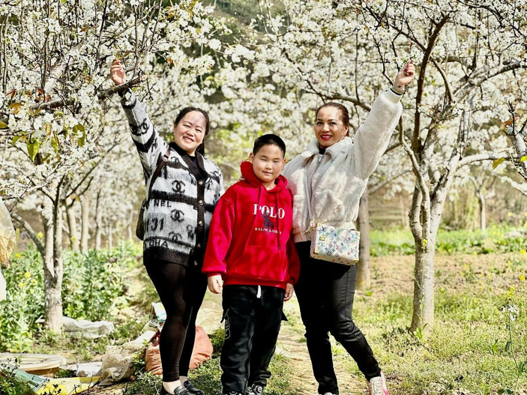Pear blossoms spreading across the hills attract visitors to Pho Bang.