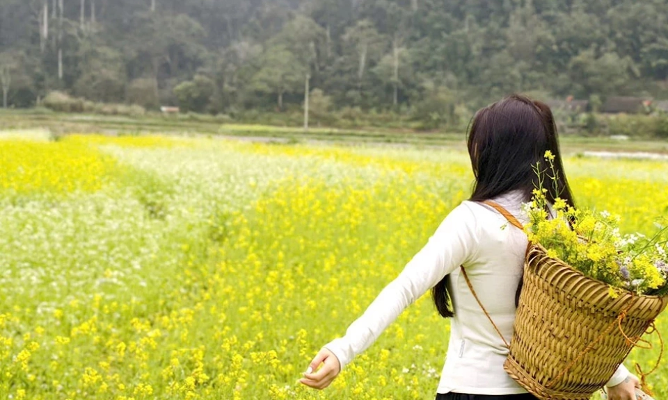 Spring colors cover Na Hang Commune
