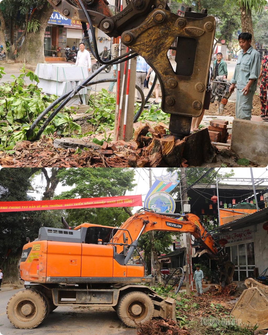 Specialized excavators are removing old tree roots to clear the site for construction.