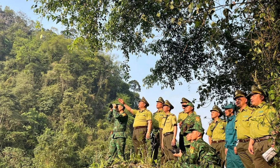 Strengthening forest fire prevention and control during the peak dry season