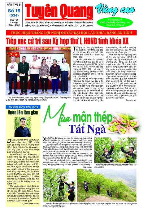 B&aacute;o Tuy&ecirc;n Quang v&ugrave;ng cao số 534