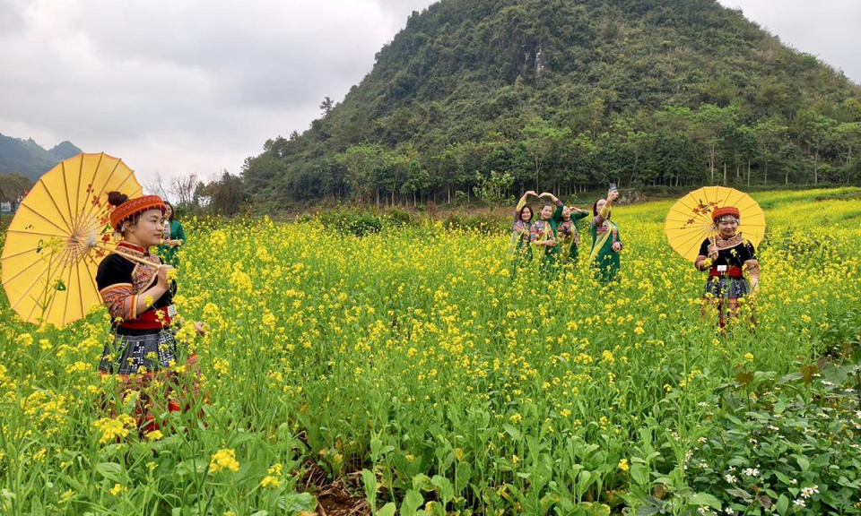 Ra mắt điểm check-in &ldquo;Thung lũng hoa N&uacute;i Đ&ocirc;i&rdquo; tr&ecirc;n cao nguy&ecirc;n đ&aacute;