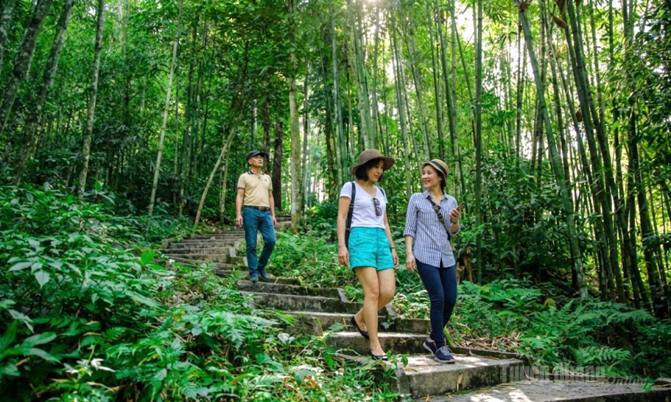 Bản giao hưởng giữa đại ng&agrave;n