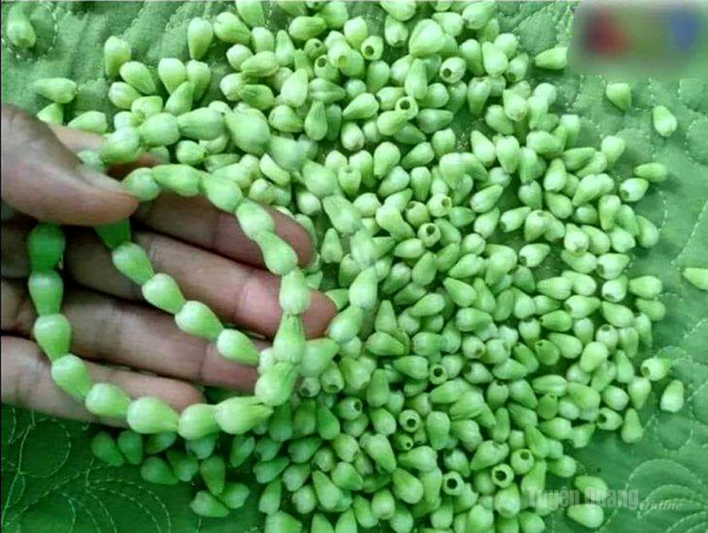 Hoa lê-ki-ma nhỏ xíu được bao thế hệ tuổi thơ kết thành vòng đeo tay