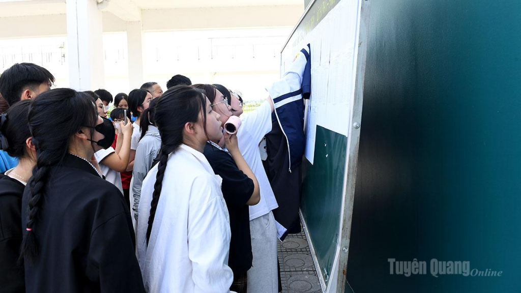 Thí sinh dự thi vào lớp 10 Trường THPT Chuyên Tuyên Quang tra cứu thông tin trước khi vào phòng thi làm thủ tục dự thi.