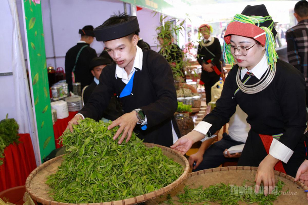 <em>Công đoạn sơ chế chè Shan tuyết của người dân xã Cao Bồ.</em>