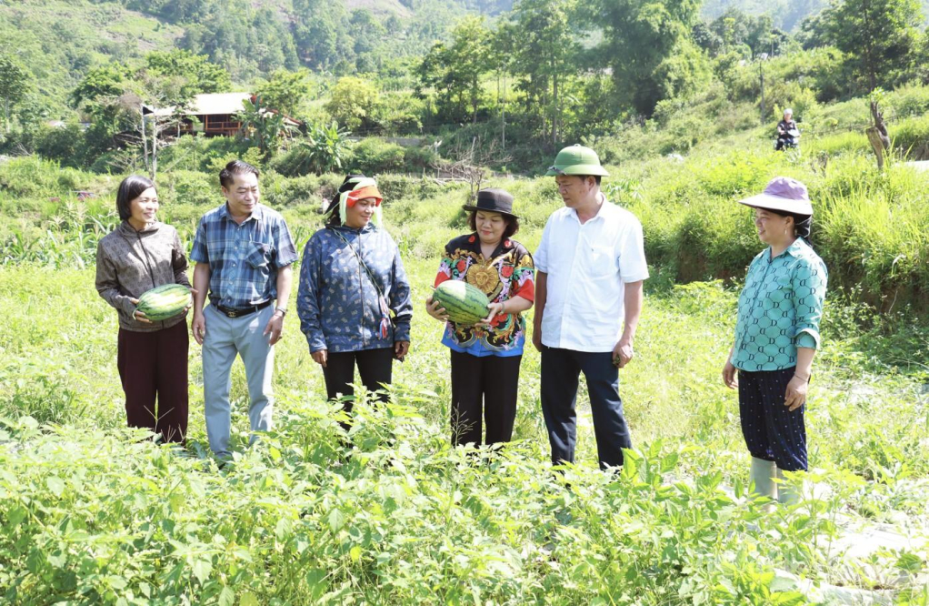 Cán bộ xã Minh Ngọc  khảo sát mô hình  trồng dưa hấu trên địa bàn.