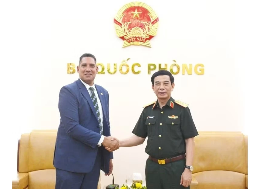 Deputy Prime Minister and Minister of National Defence General Phan Van Giang (R) receives Swedish Ambassador Johan Ndisi (Photo: baochinhphu.vn)