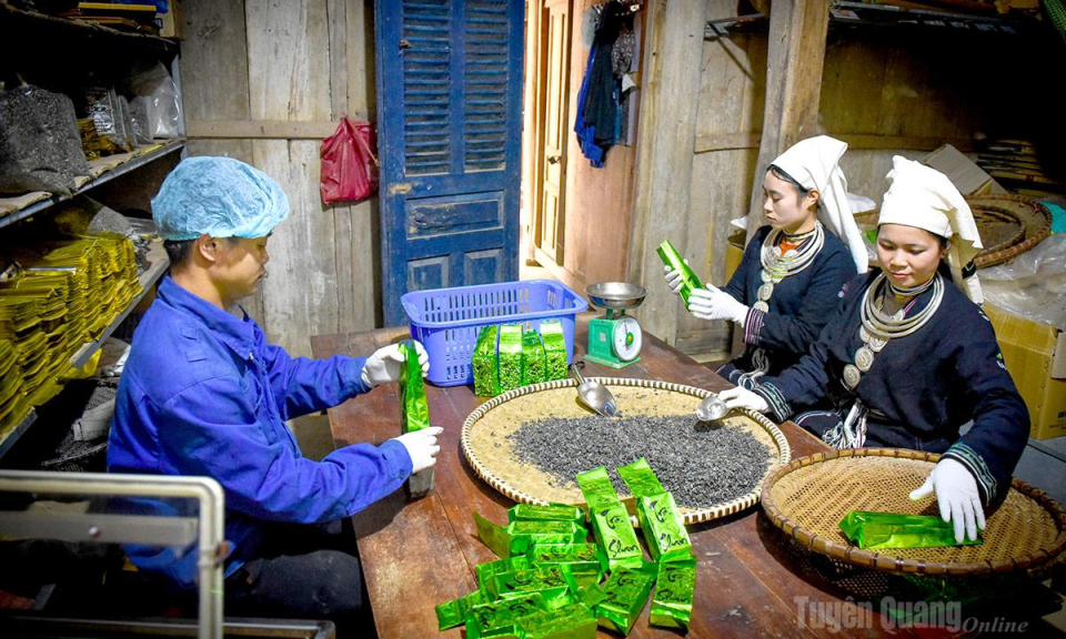 Bước chuyển x&acirc;y dựng hệ sinh th&aacute;i bền vững