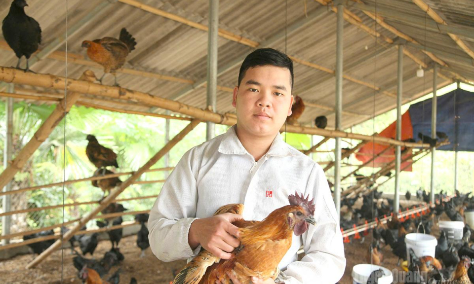 &ldquo;Vua g&agrave; đen&rdquo; T&ugrave;ng B&aacute;