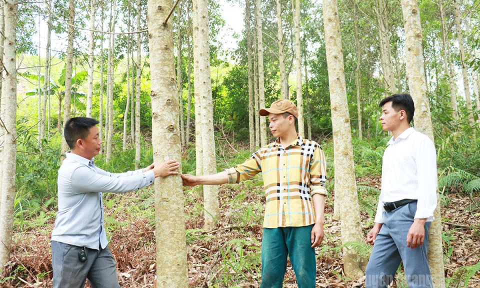 N&ecirc;u gương l&agrave;m kinh tế giỏi