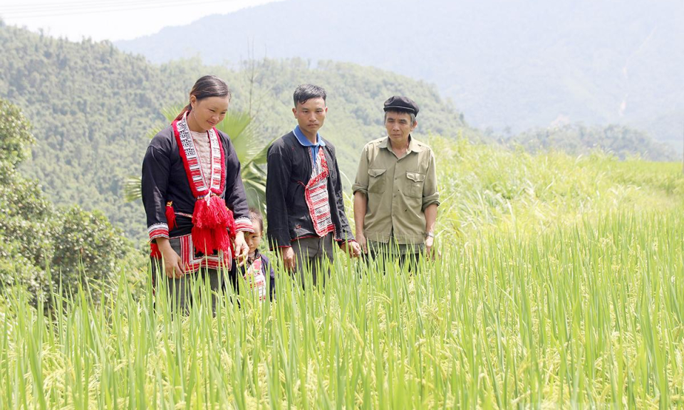 B&agrave;i 2: Nghệ thuật đưa &ldquo;quốc ph&aacute;p&rdquo; nhập &ldquo;gia phong&rdquo;