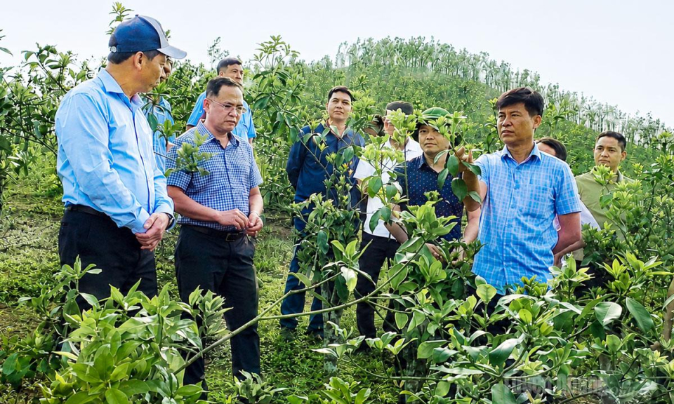 Gọi m&ugrave;a no ấm