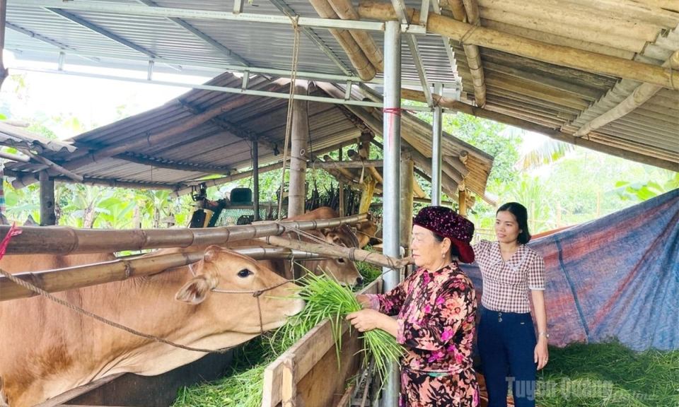 Nhịp sống mới ở Suối Đồng