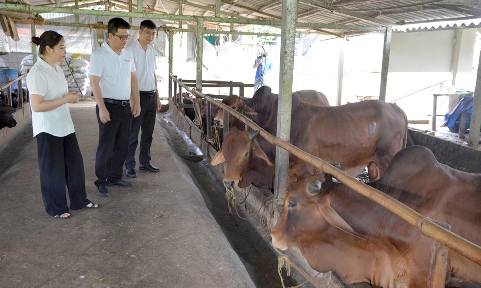 Quan trắc m&ocirc;i trường chăn nu&ocirc;i: Việc phải l&agrave;m ngay