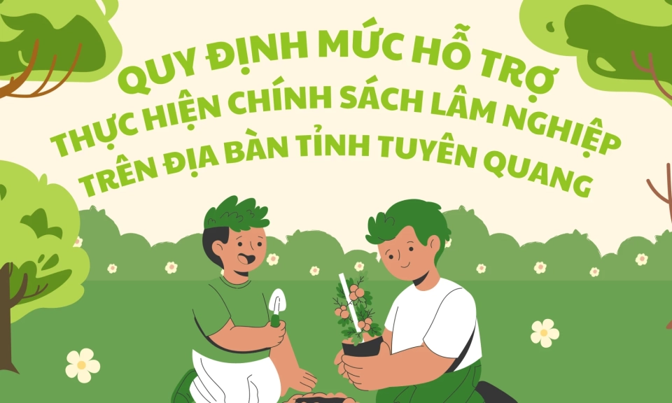 Nghị quyết Quy định mức cấp kinh ph&iacute;, mức hỗ trợ từ ng&acirc;n s&aacute;ch nh&agrave; nước thực hiện một số ch&iacute;nh s&aacute;ch về l&acirc;m nghiệp tr&ecirc;n địa b&agrave;n tỉnh Tuy&ecirc;n Quang