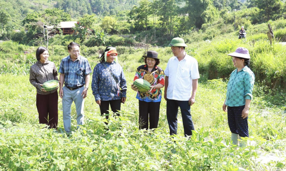 Hướng đi mới tr&ecirc;n đất kh&oacute;