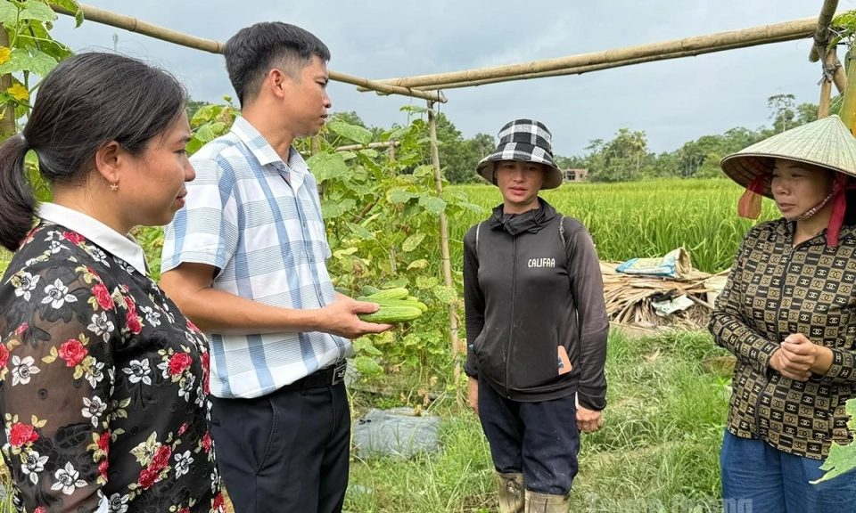 Supporting agricultural product consumption
