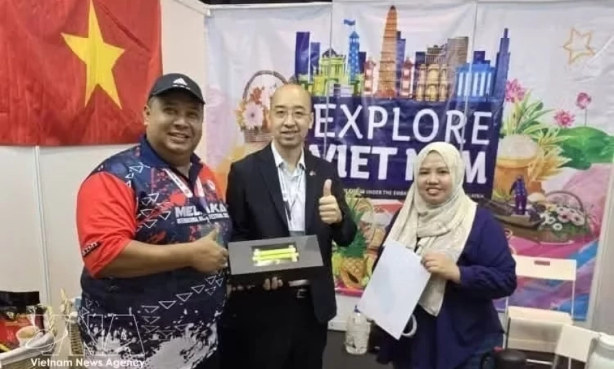 Vietnam, Malaysia promote smart business connectivity