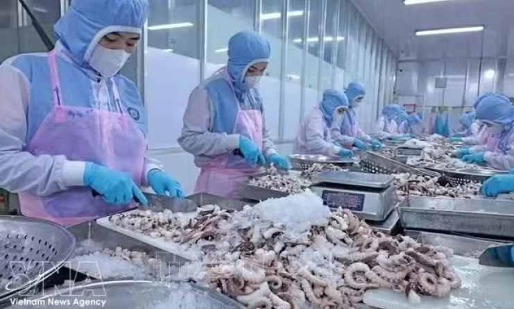 Viet Nam's aquatic product exports aim for 12 billion USD target