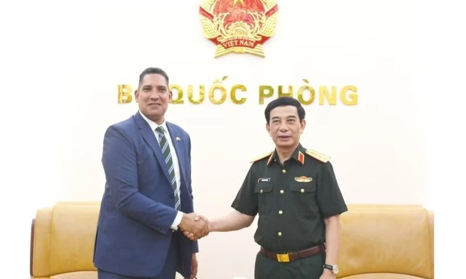 Viet Nam seeks to intensify defence collaboration with Sweden, Algeria