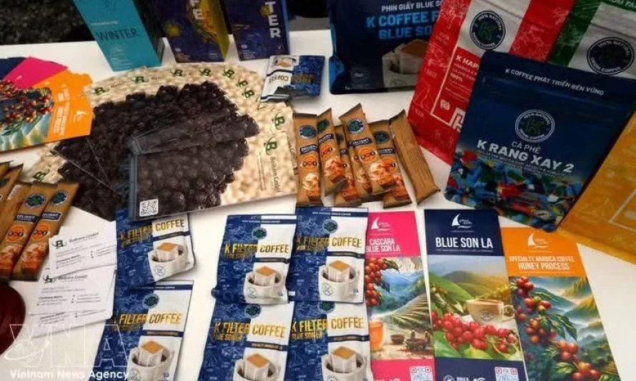 Viet Nam seeks stronger foothold in Germany's premium coffee market