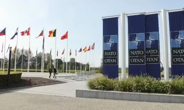 Cracks in allied relations