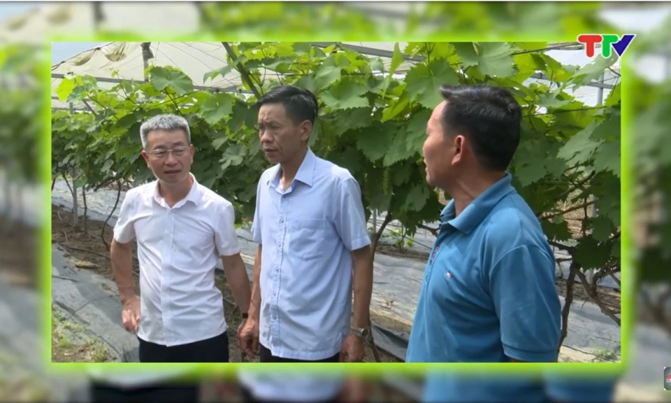Thanh Thủy nh&acirc;n rộng c&aacute;c c&acirc;y, con c&oacute; gi&aacute; trị kinh tế cao