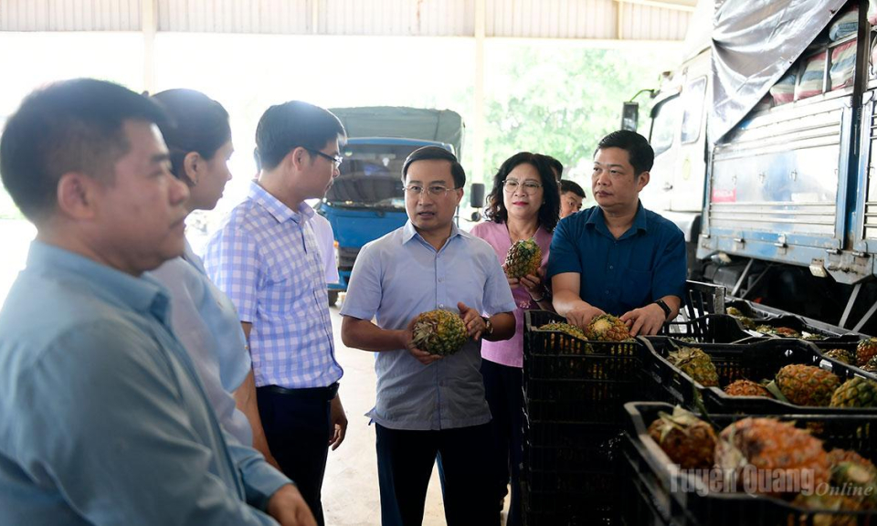 Tạo mọi điều kiện để C&ocirc;ng ty Cổ phần Thực phẩm Xuất khẩu Đồng Giao nghi&ecirc;n cứu x&acirc;y dựng nh&agrave; m&aacute;y chế biến tại tỉnh Tuy&ecirc;n Quang