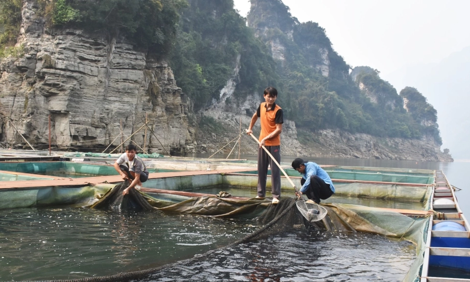 Chủ động ph&ograve;ng, chống thi&ecirc;n tai bảo vệ v&ugrave;ng nu&ocirc;i trồng thủy sản